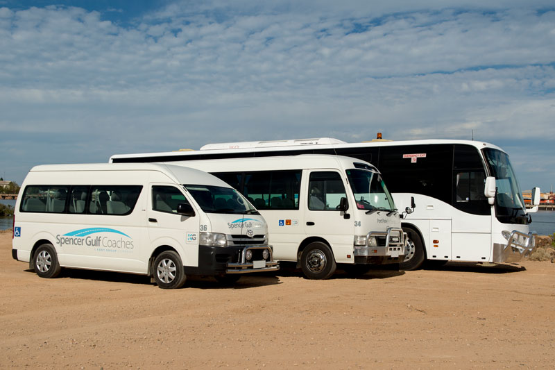 spencer gulf coaches town bus, access bus and upper north passenger bus